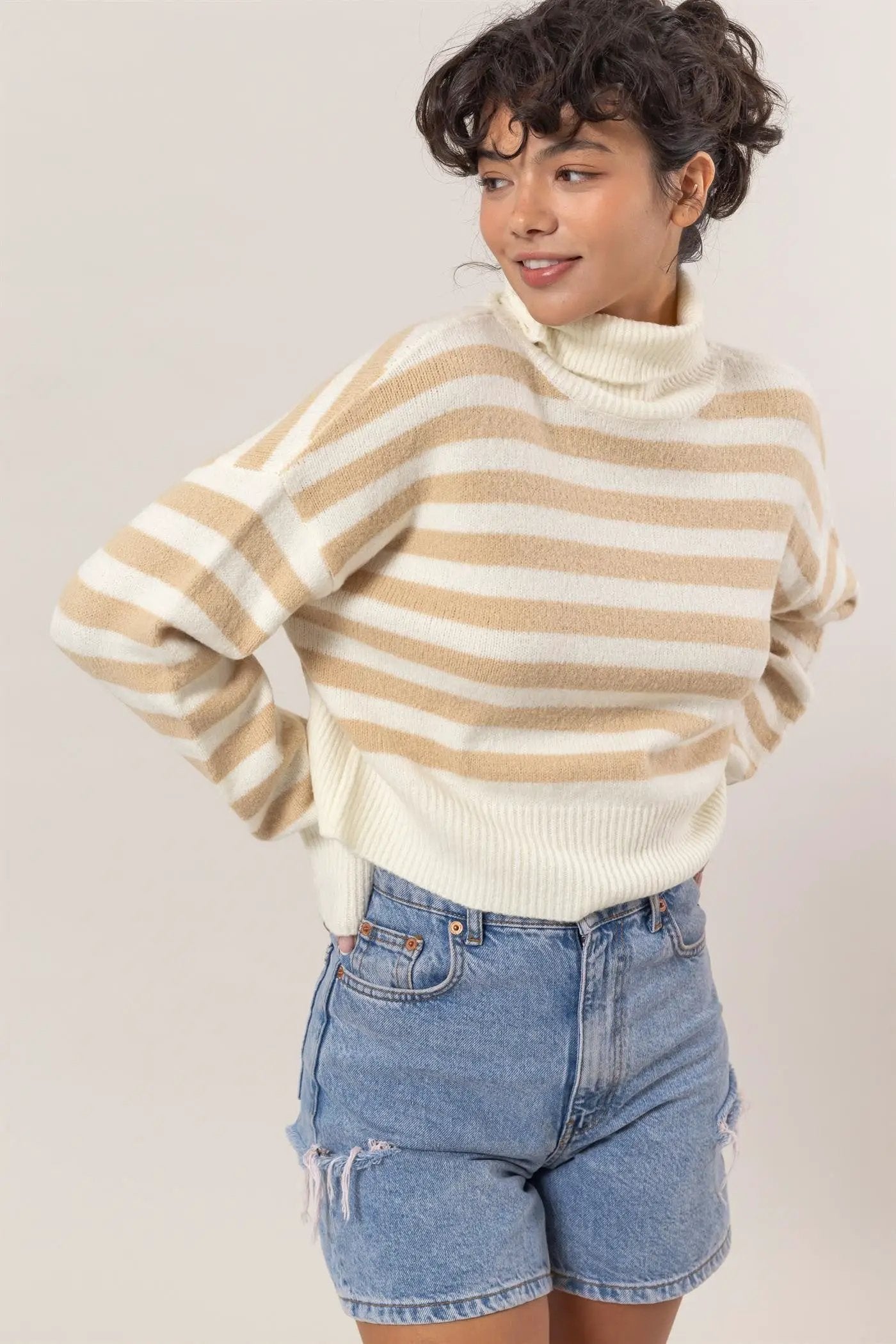 HYFVE HYFIVE Neutral Hour Striped Turtleneck Sweater - Sweaters
