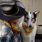 Primitives by Kathy Primitives by Kathy - Western Bandana -